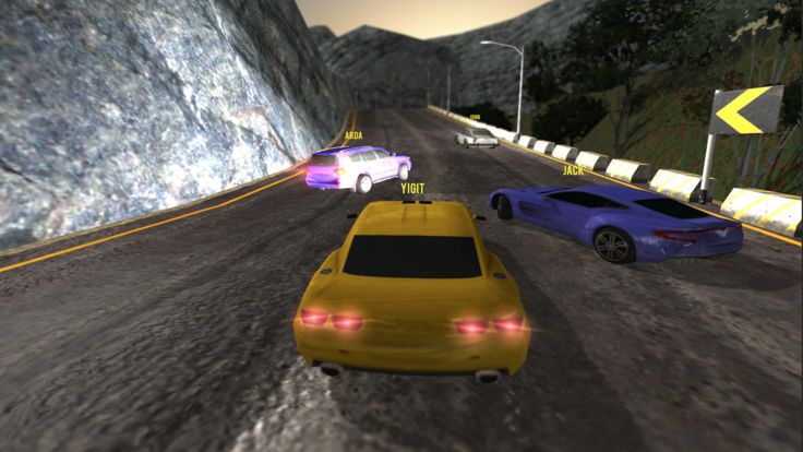 Real Car Raceĺ  v1.0 screenshot 1