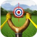 弹弓锦标赛游戏安卓版下载 v1.2.2