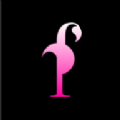 Flamingo羳app°  v6.8.6