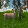 动物狩猎模拟器游戏 v1
