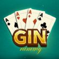 Gin Rummy Offline Card Games M