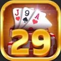Play 29 Gold offline Apk Free