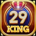 29 King Card Game Offline Apk