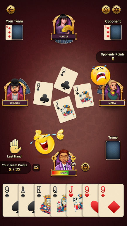 29 Royal Pro Card Game Offline Apk Free Download  1.0015 screenshot 1