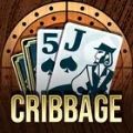 Cribbage Royale Apk Free Downl