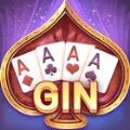 Gin Rummy Lami mahjong Texas A