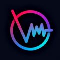Vibit Music Video Maker app