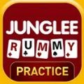 Indian Rummy Play Rummy Game O