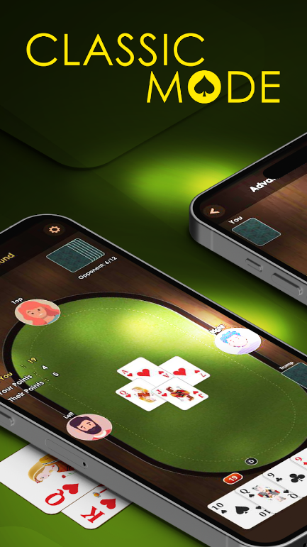 28 Card Game Twenty Eight Apk Free Download  1.0 screenshot 3