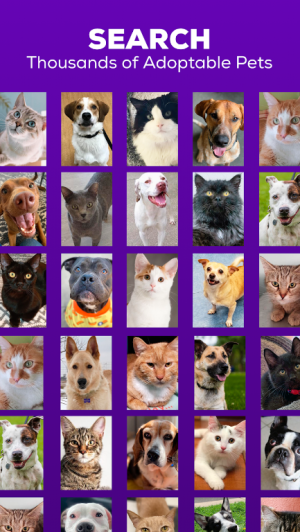 Petfinder App Free DownloadͼƬ1