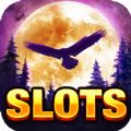 Slots Casino Jackpot Mania