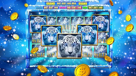 Slots Frenzy Casino Game Live Apk Free Download  1.1.68 screenshot 2