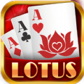 3Patti Rummy Lotus Online