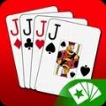 Euchre 3D Apk Free Download