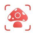 Picture Mushroom app