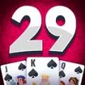 29 Card Master Offline Game Ap