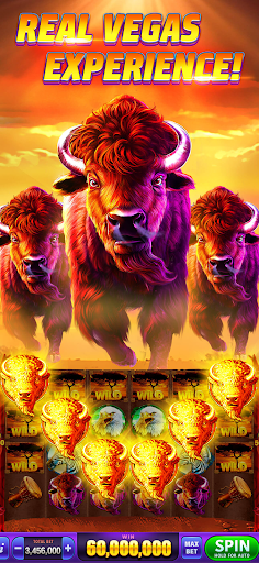 Double Hit Casino Slots Games apk latest version download  1.4.3 screenshot 1