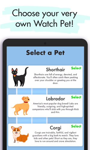 Watch Pet apk download latest versionͼƬ1