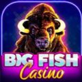Big Fish Casino Slots Games Ap