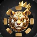 One Fortune Casino Slot Game
