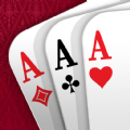 Rummy offline card game