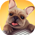 Dog Shelter game download android apk 1.0.1.7