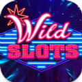 Wild Slots Vegas slot games Ap