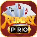RummyPro