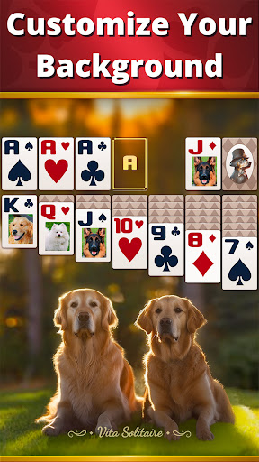 Vita Solitaire for Seniors apk download  1.8.0 screenshot 2