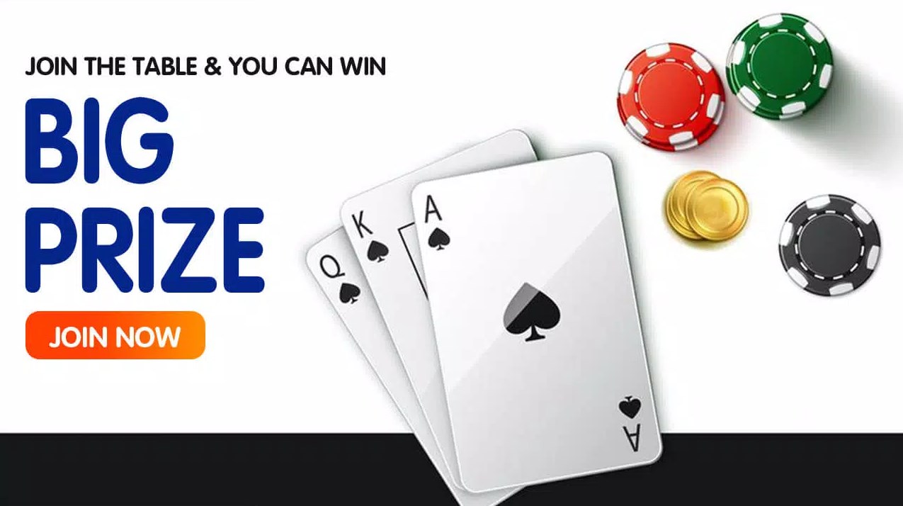Rummy Soul apk download old version  1.3.1 screenshot 2
