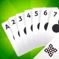 Canasta Online Card Game Apk D