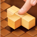 Wood Block Puzzle Games apk download