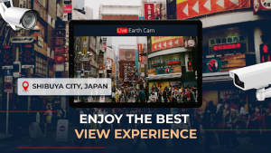 Live Camera Earth Webcam app download latest versionͼƬ1