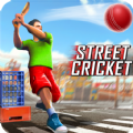 Street Criket T20 Cricket Game
