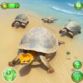 Wild Turtle Family Simulator apk Download  1.1