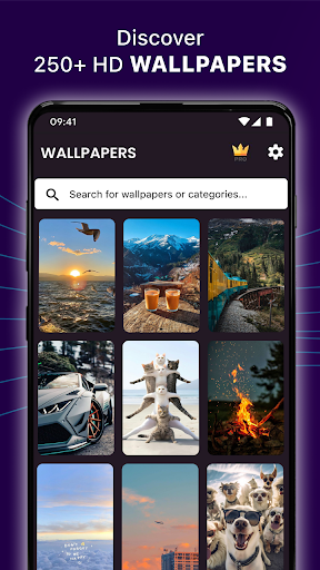 Phone Ringtones Wallpapers App Free Download for AndroidͼƬ1