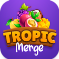 Tropic Merge Reach Watermelon Apk Download for Android