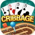 Cribbage Card Game