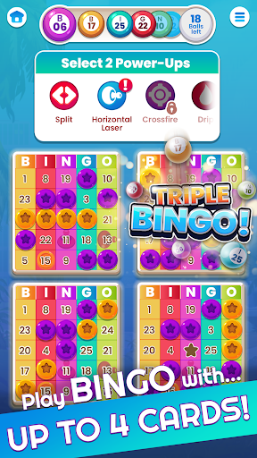 Bingo Fun Bingo Casino Games apk download for android  0.6.8 screenshot 2