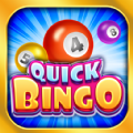Quick Bingo Play Bingo at Home