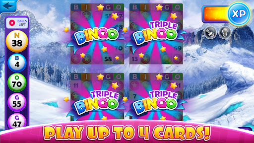 Quick Bingo Play Bingo at Home apk download for android  1.64.18 screenshot 1