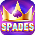 Spades Offline Fun Card Game A
