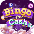 Bingo For Cash Big Win