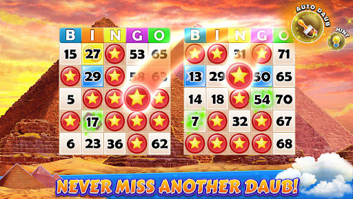 Bingo Cruise Live Bingo Party apk downlod latest version  1.68.20 screenshot 1