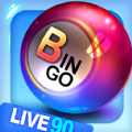 Bingo 90 Live Vegas Slots apk