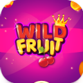 Fruit Slot Machine Apk Downloa