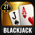 BLACKJACK 21 21 Card Game apk