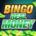 Money Bingo Clash Win Cash apk