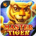 Master Tiger Slot TaDa Games