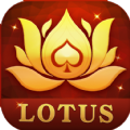 Teen Patti Ultimate Lotus